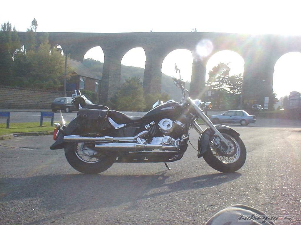 Photo 213979