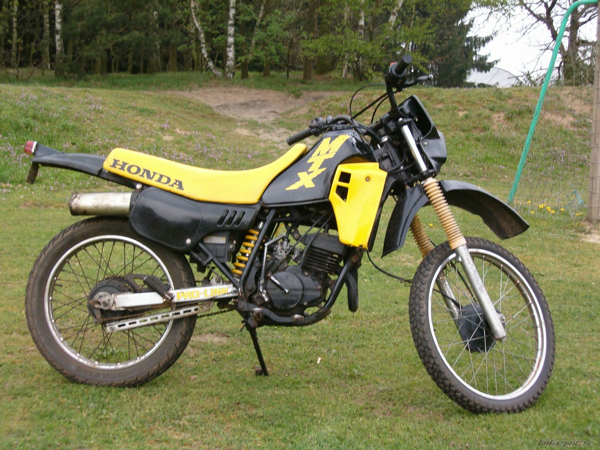 Bike Photo 213982
