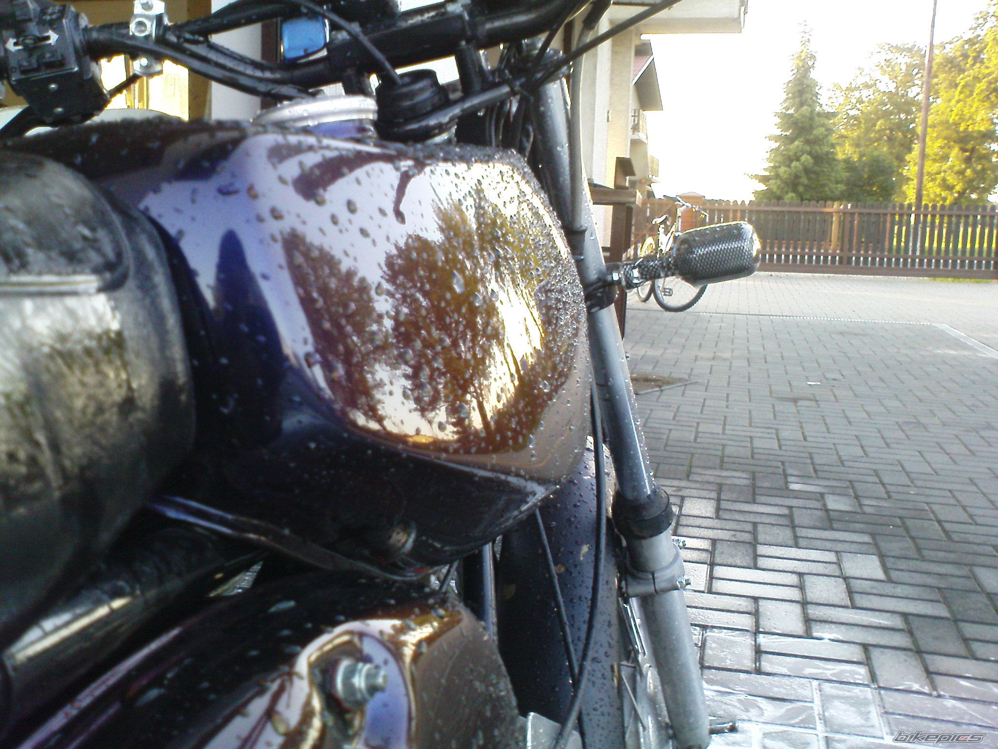 Photo 2139893