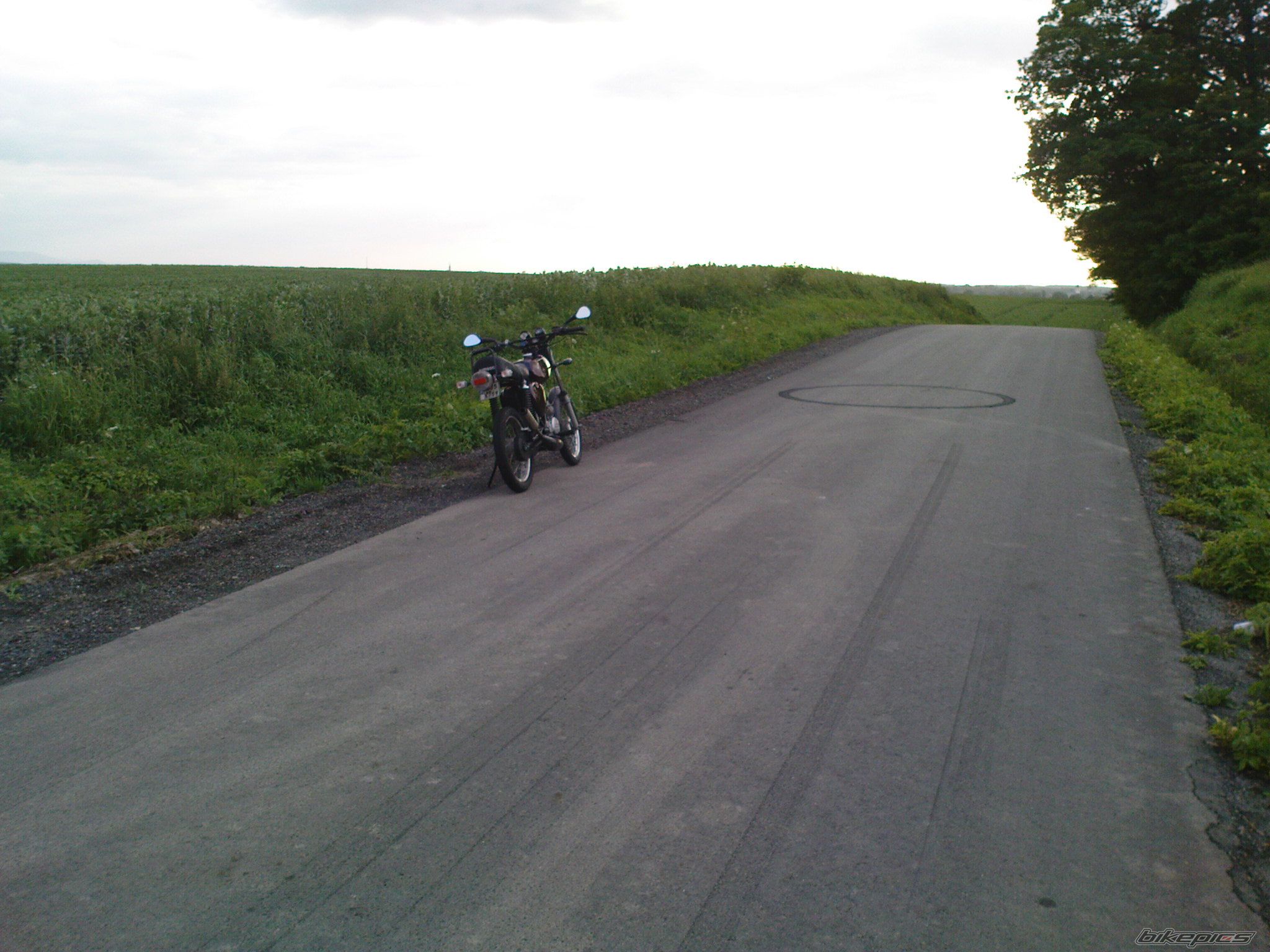 Photo 2139906