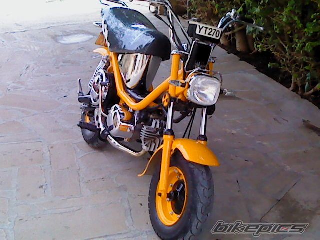 Photo 2139977