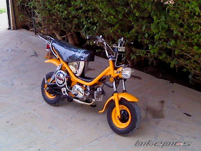 Photo 2139979