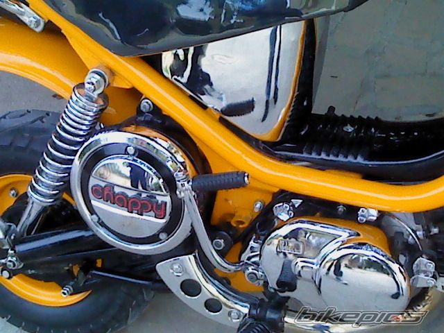 Photo 2139983