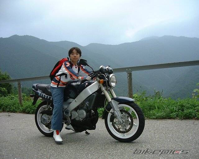 Photo 214003