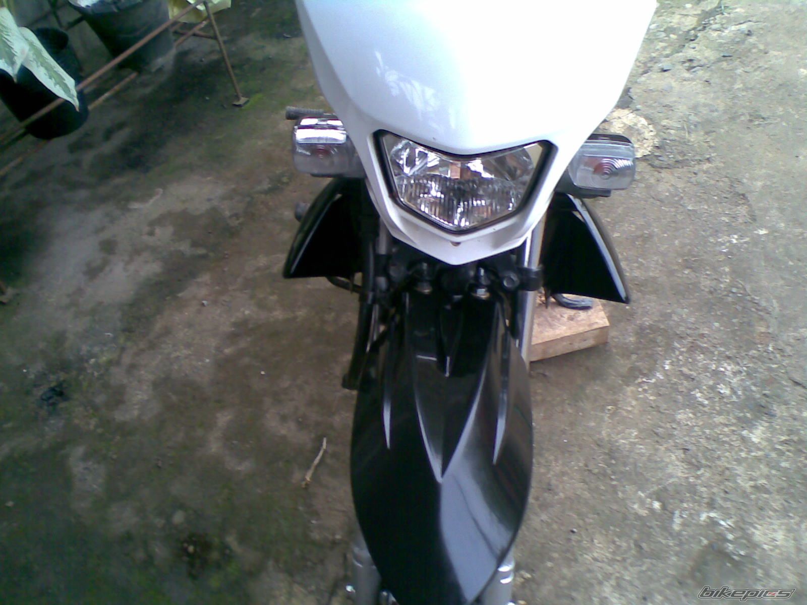 Photo 2140138