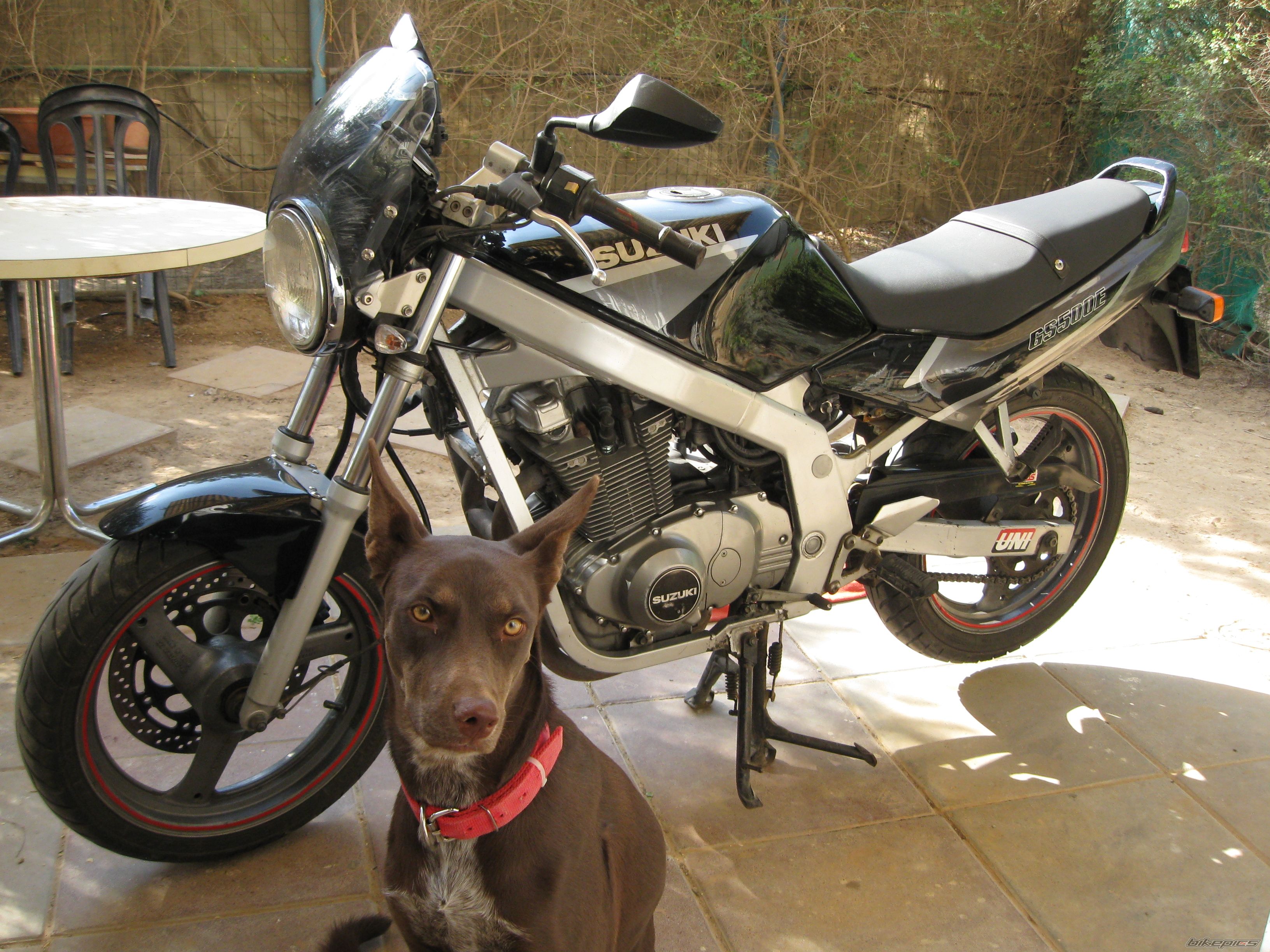 Bike Photo 2140245