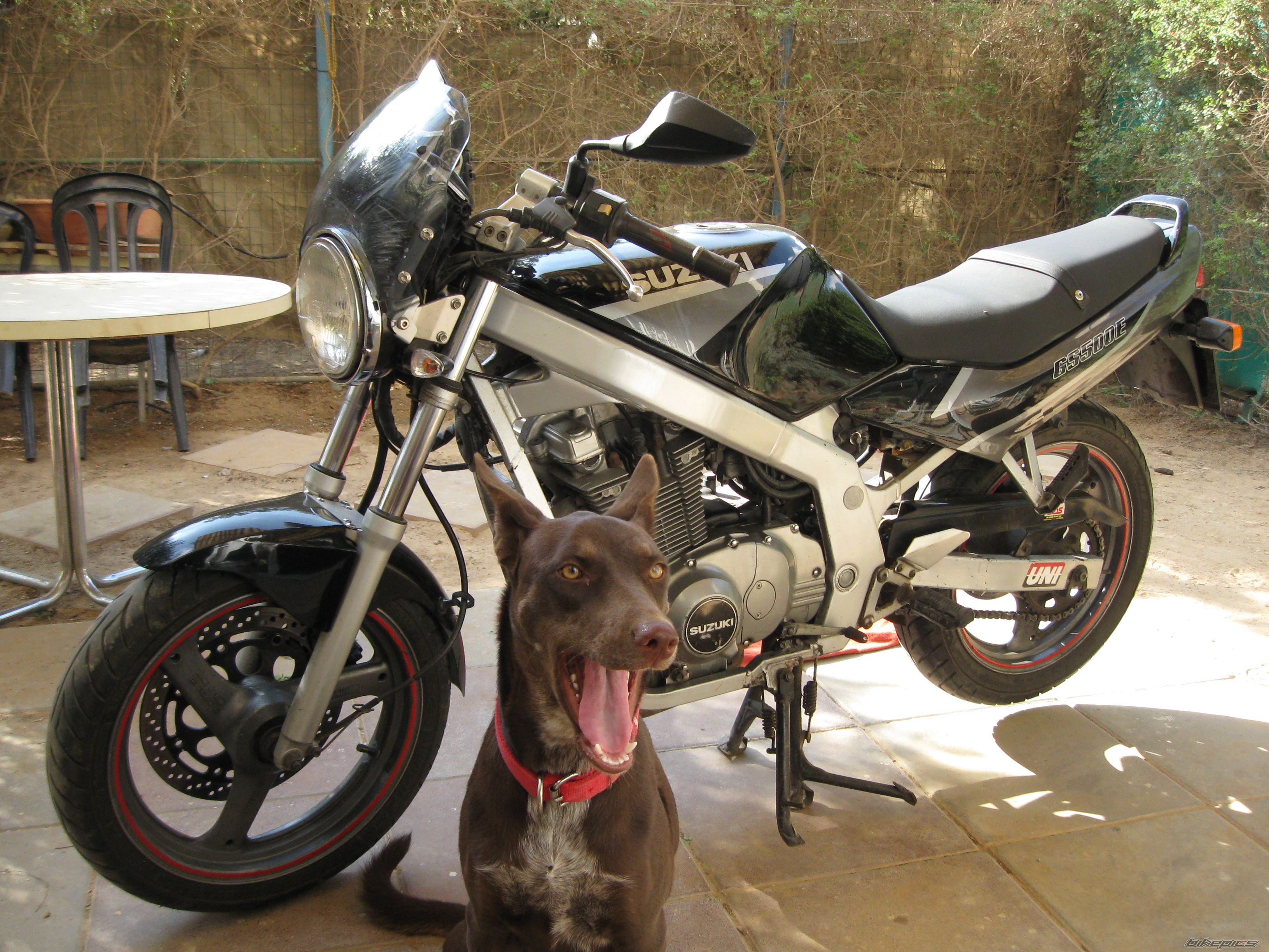 Bike Photo 2140246