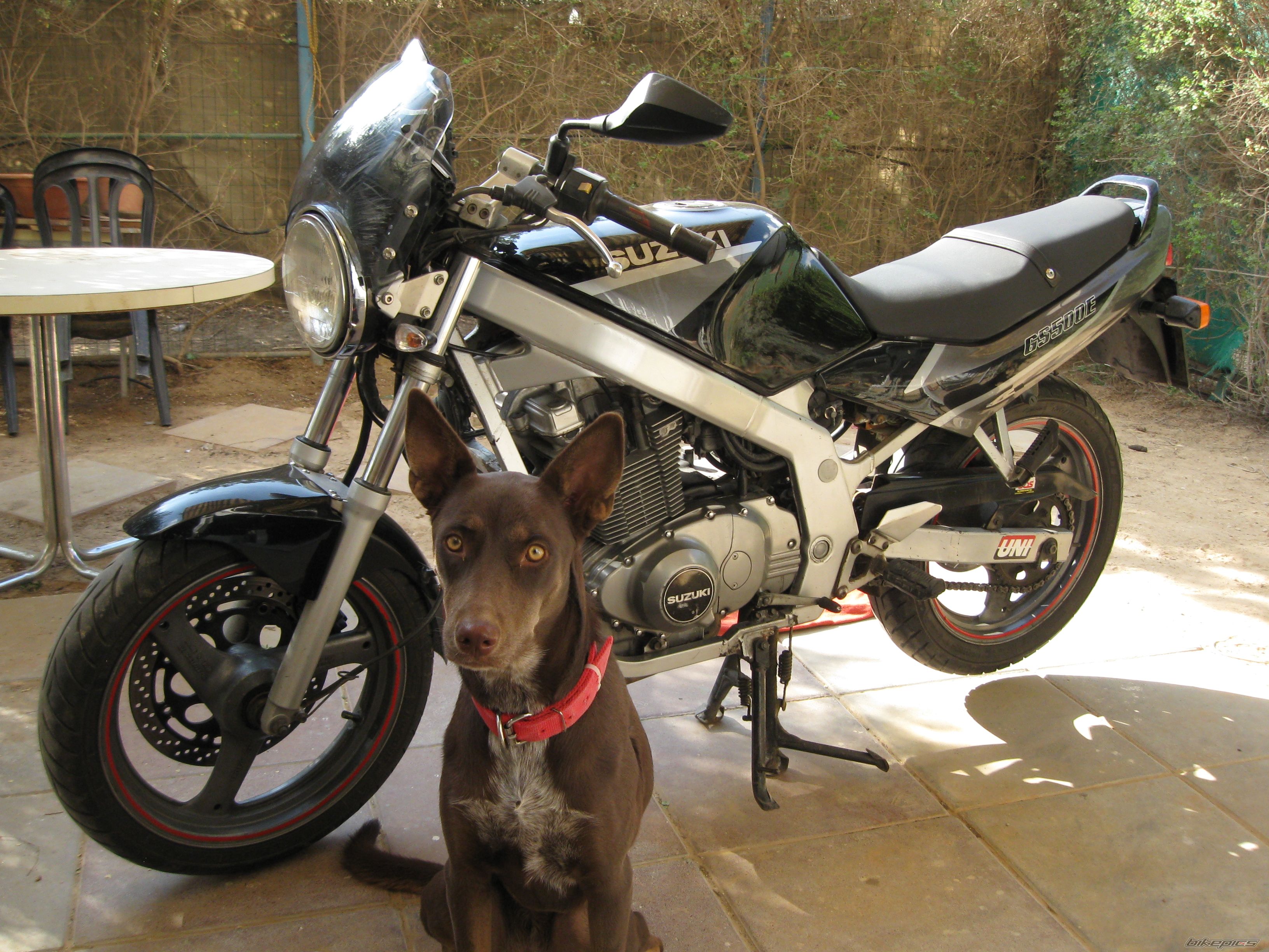 Bike Photo 2140256