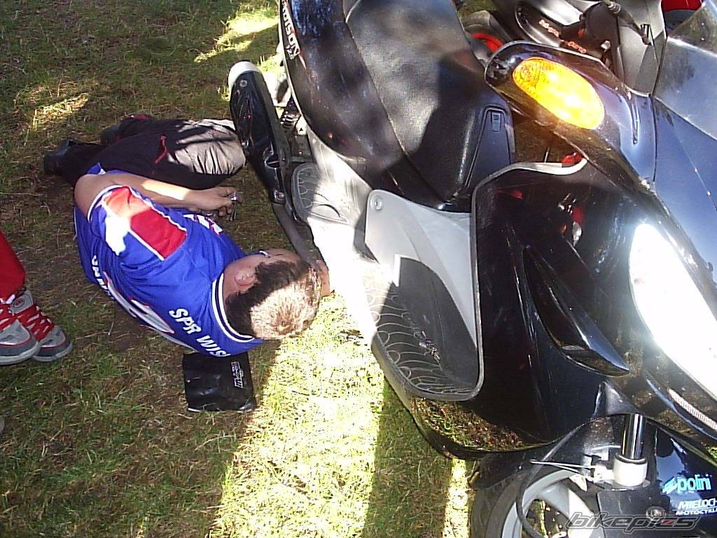 Photo 214042