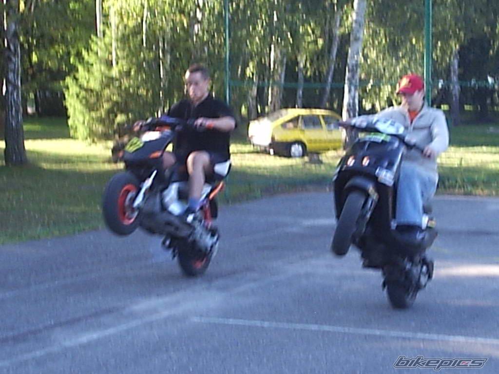 Photo 214054
