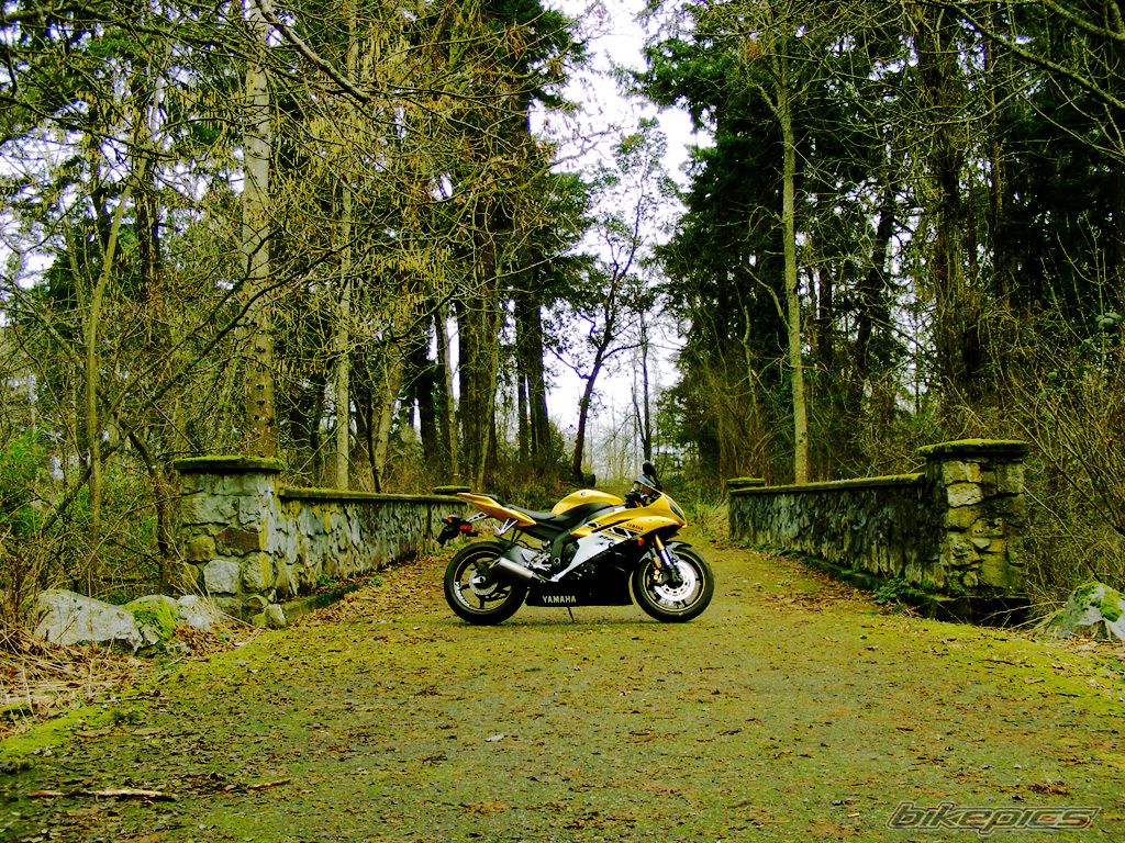 Bike Photo 2140569