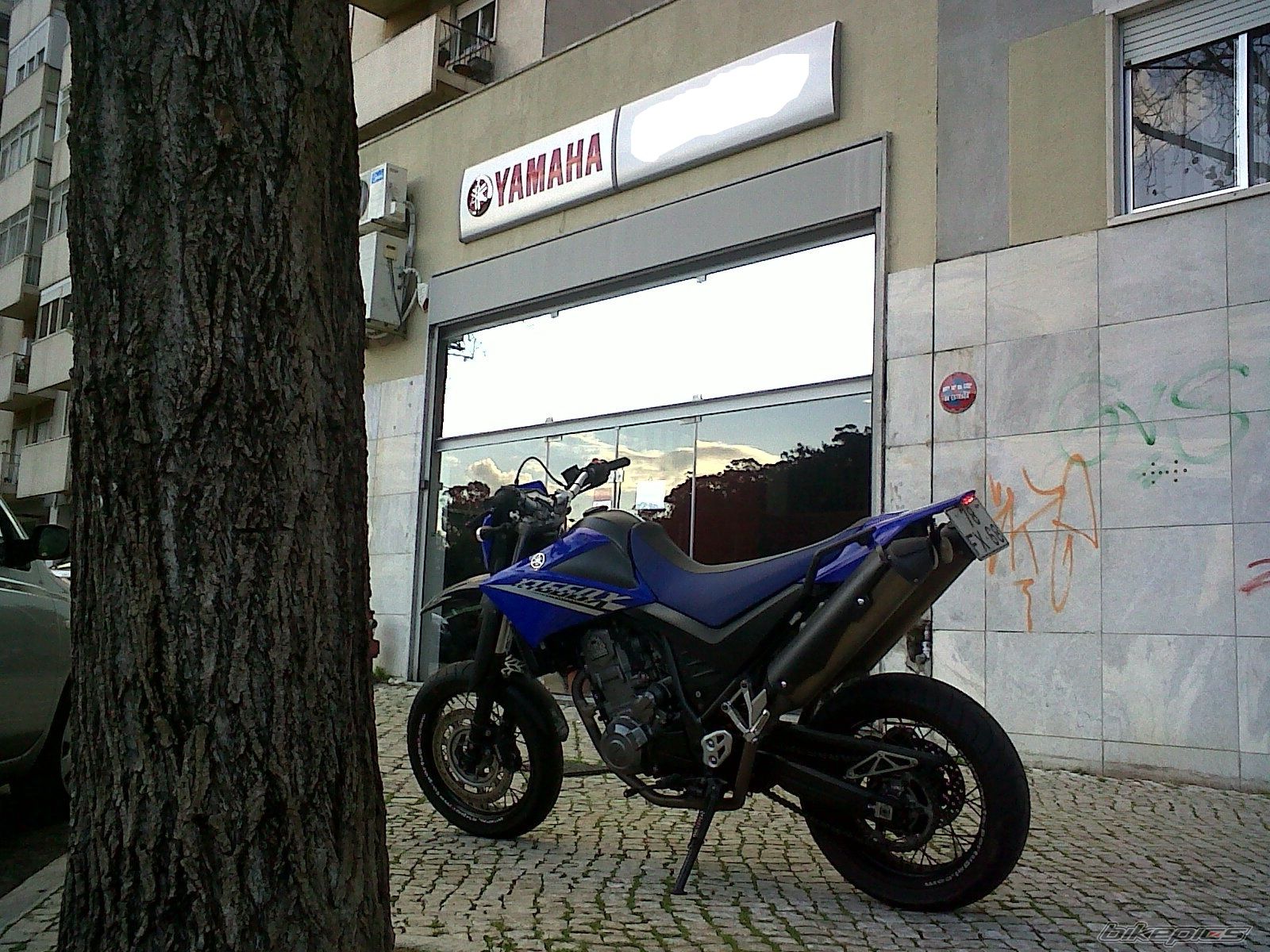 Photo 2140643
