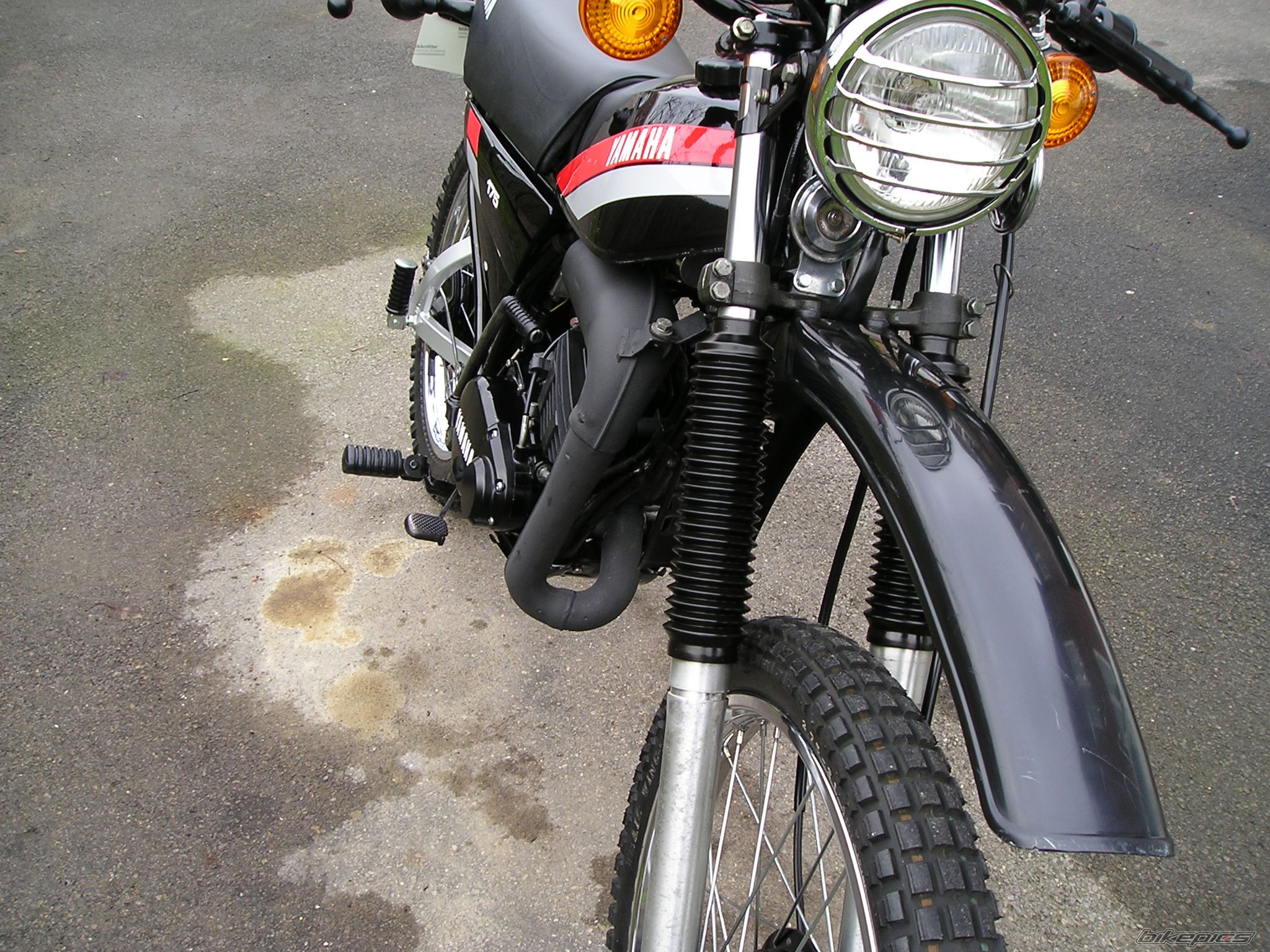 Photo 2140693
