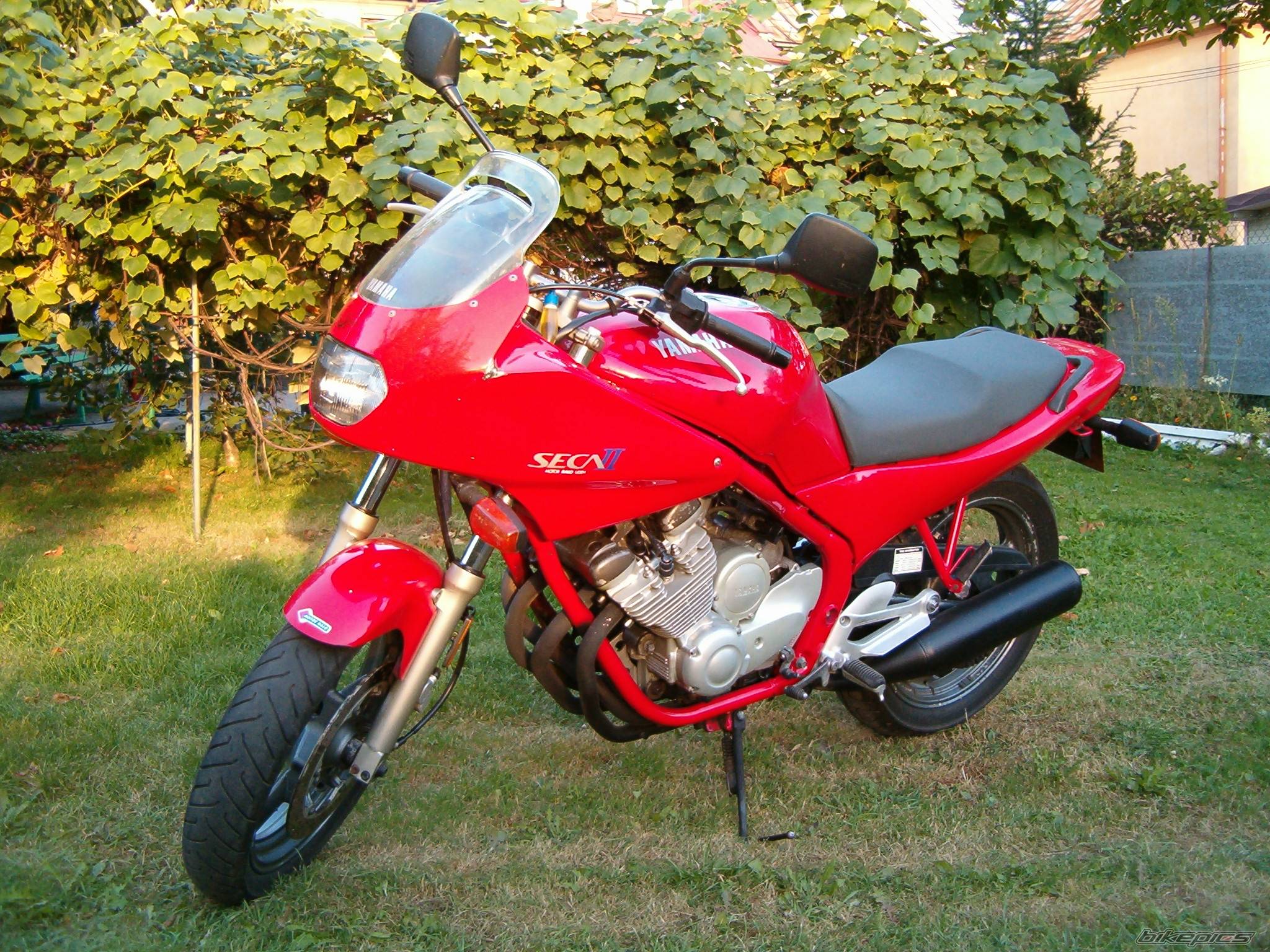 Photo 214142