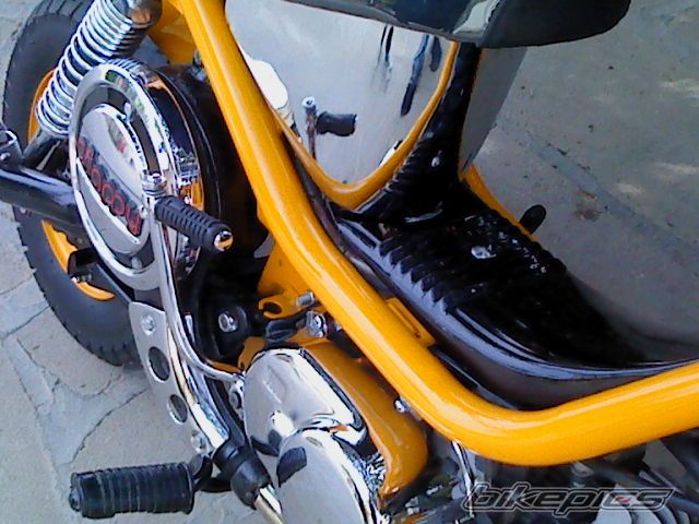 Photo 2141661