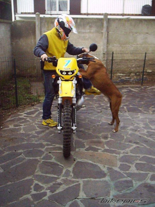 Photo 214176