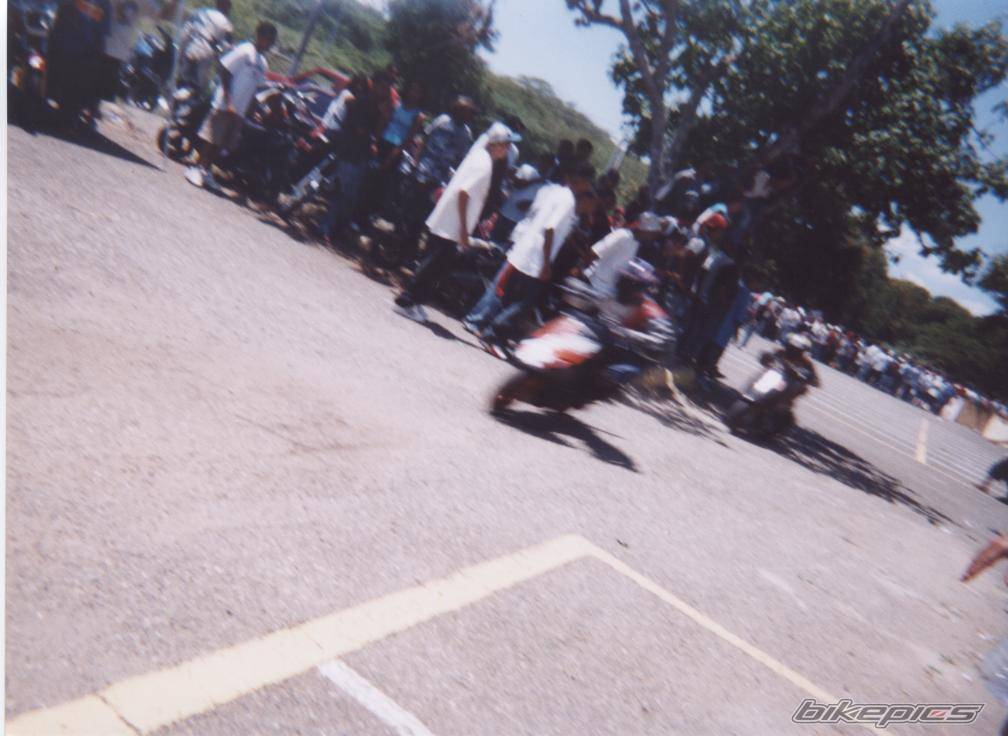 Photo 214192