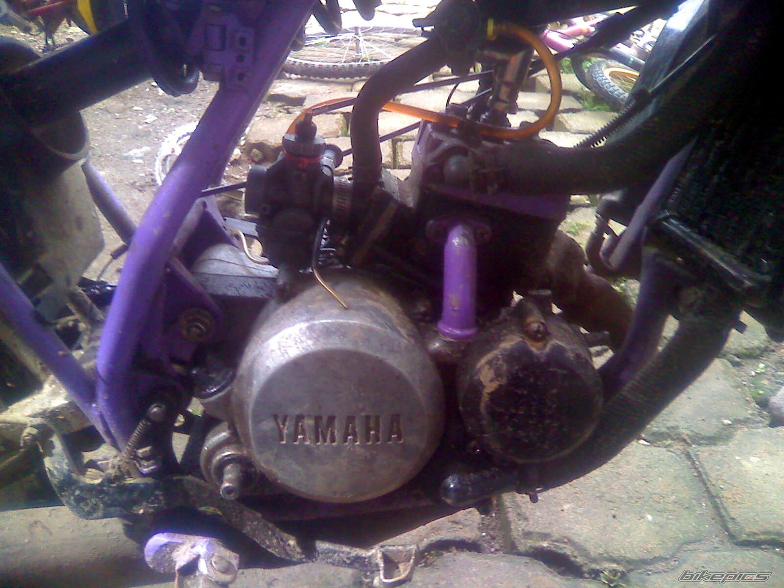 Photo 2142199