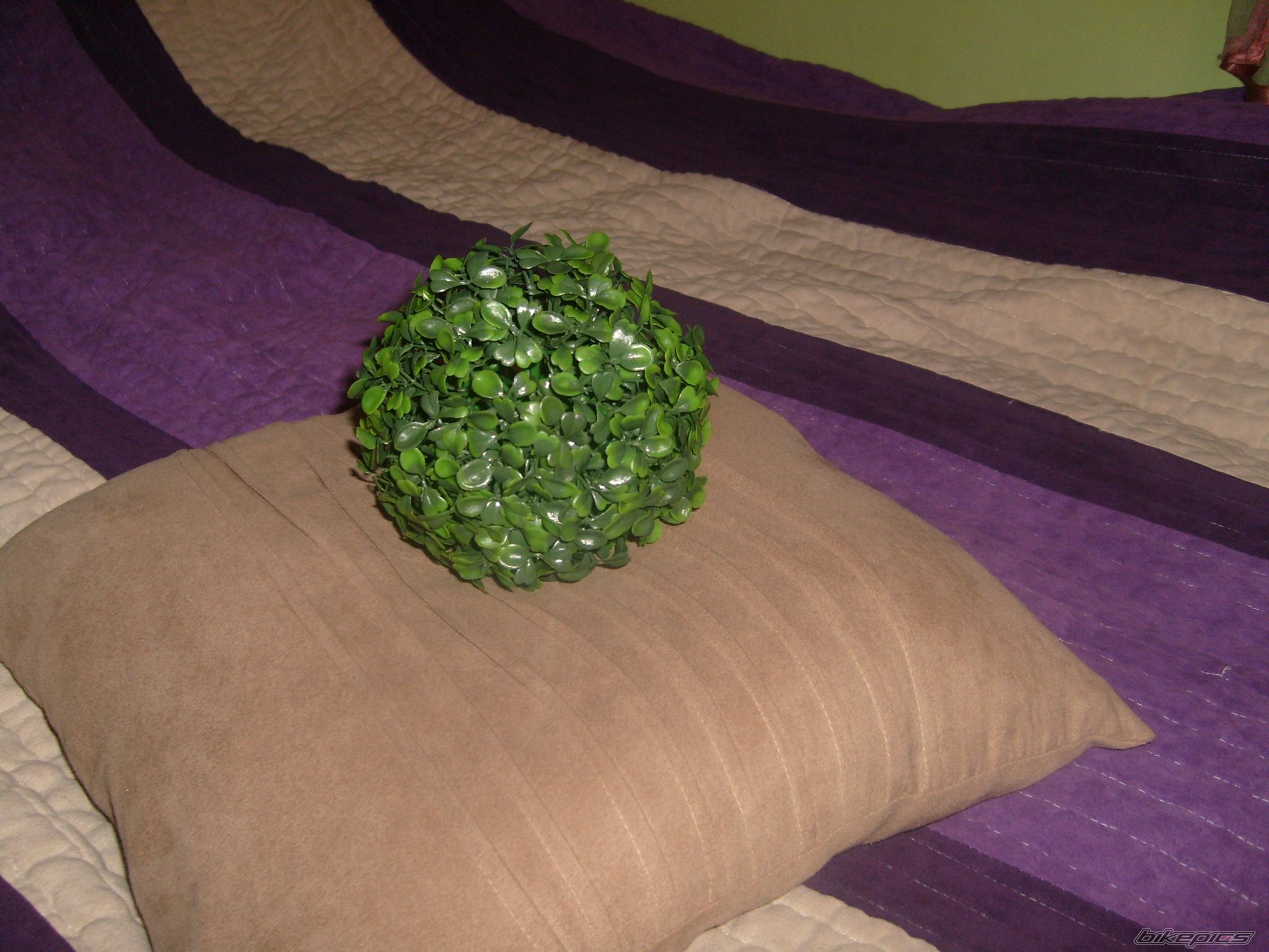 Photo 2142210