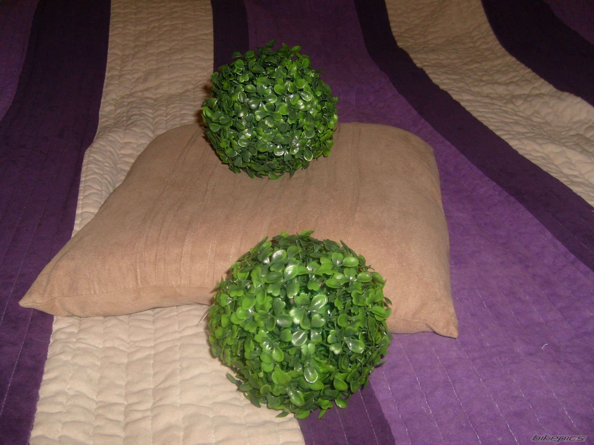 Photo 2142216