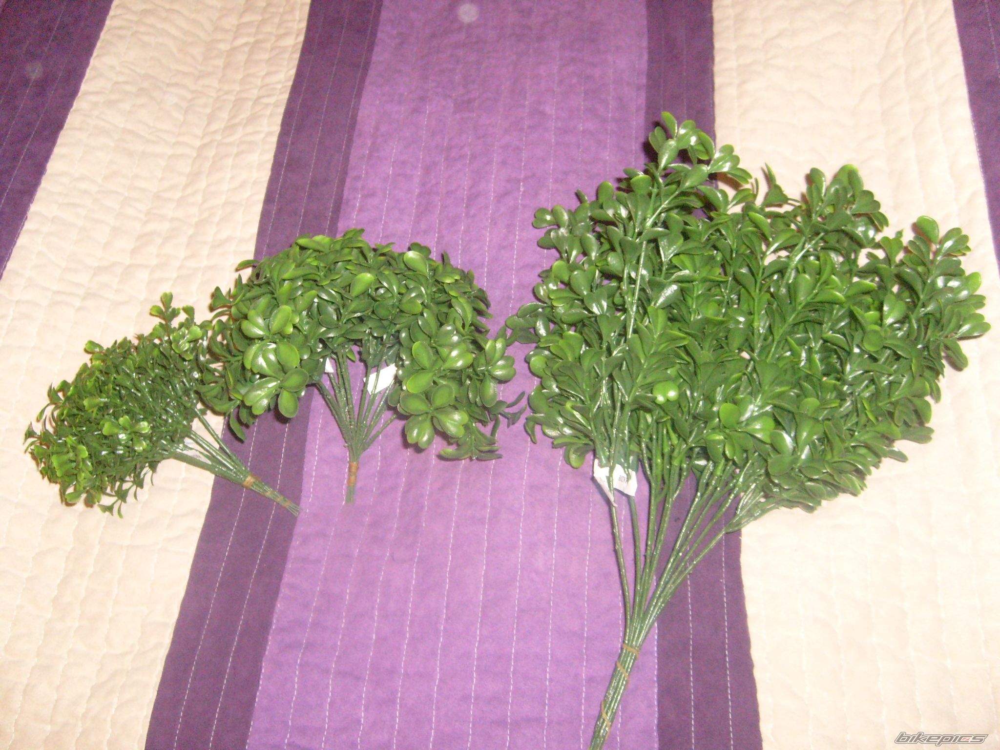 Photo 2142227