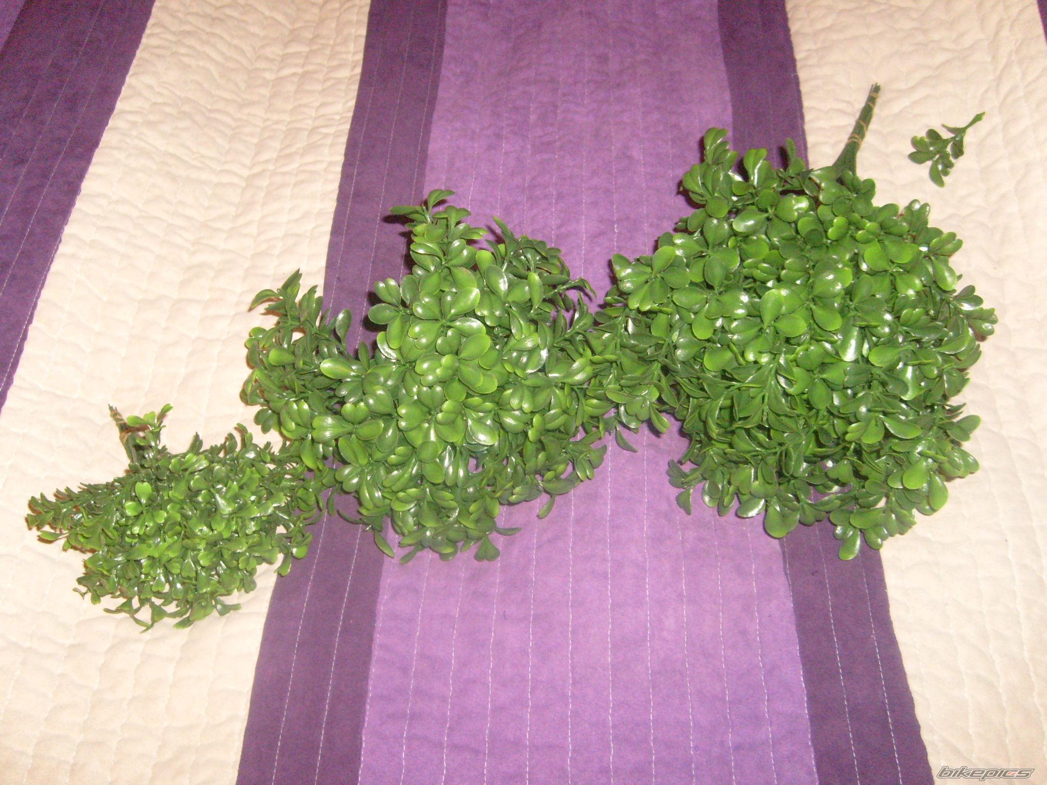 Photo 2142228