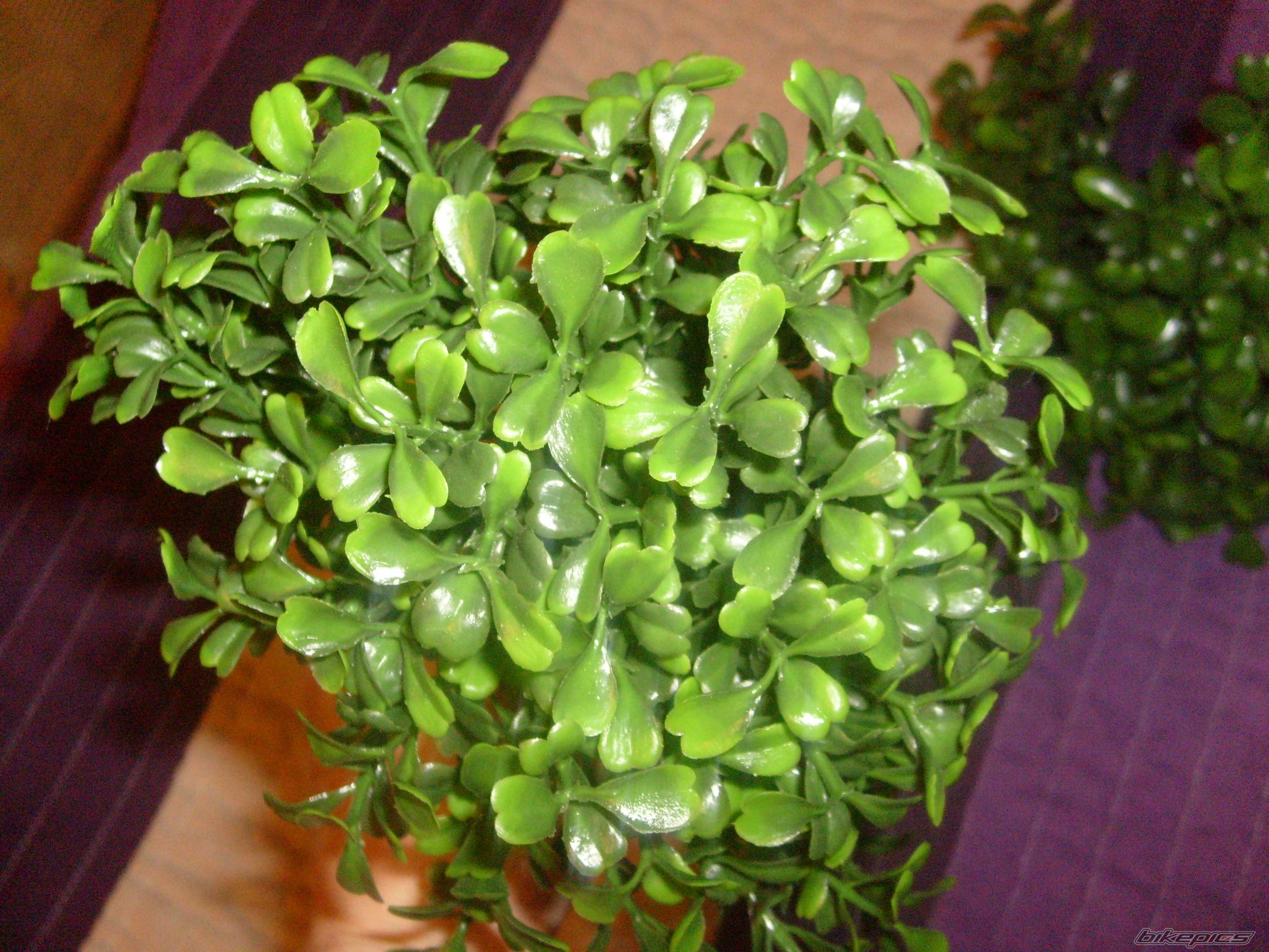Photo 2142229