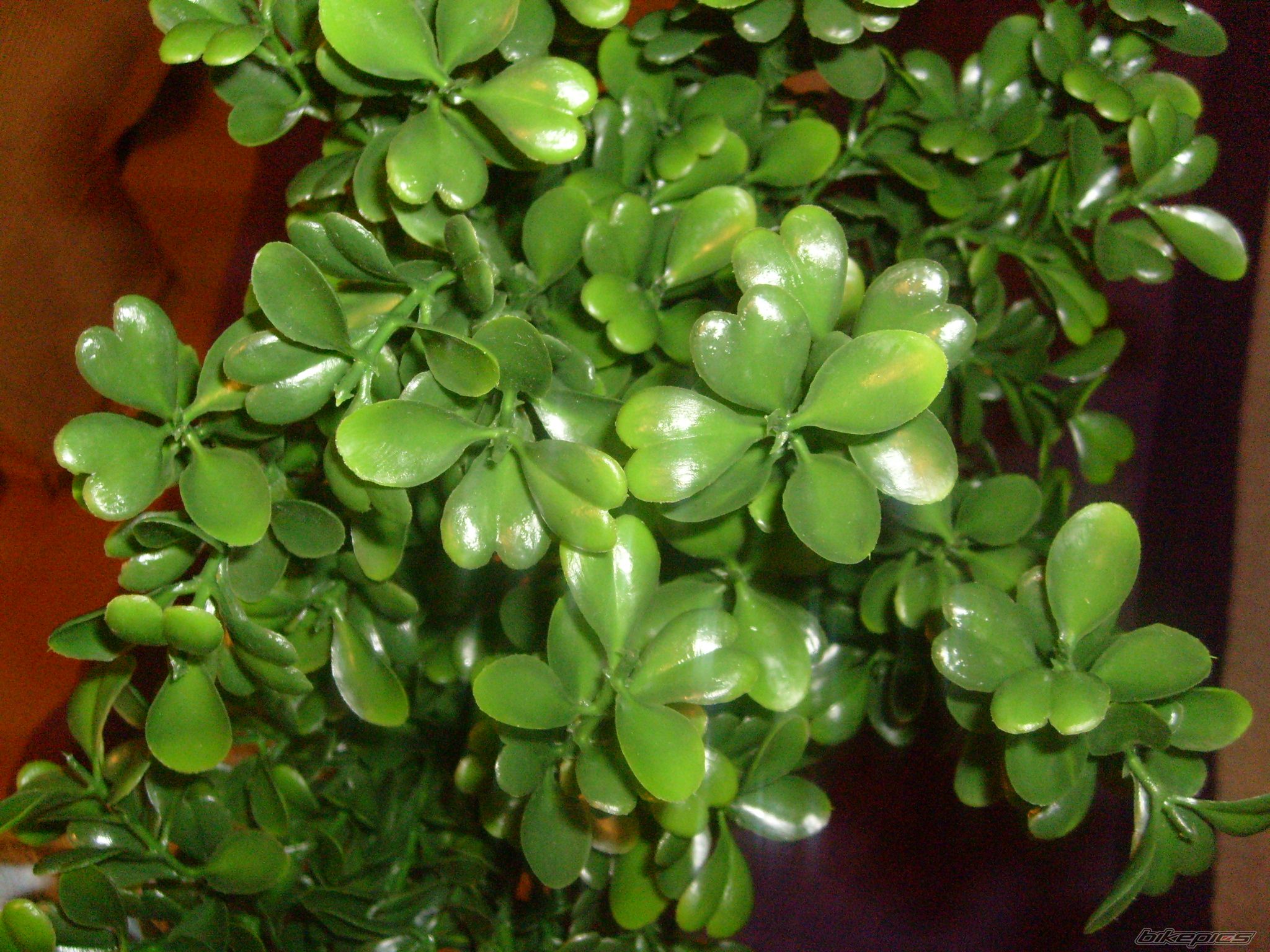 Photo 2142232