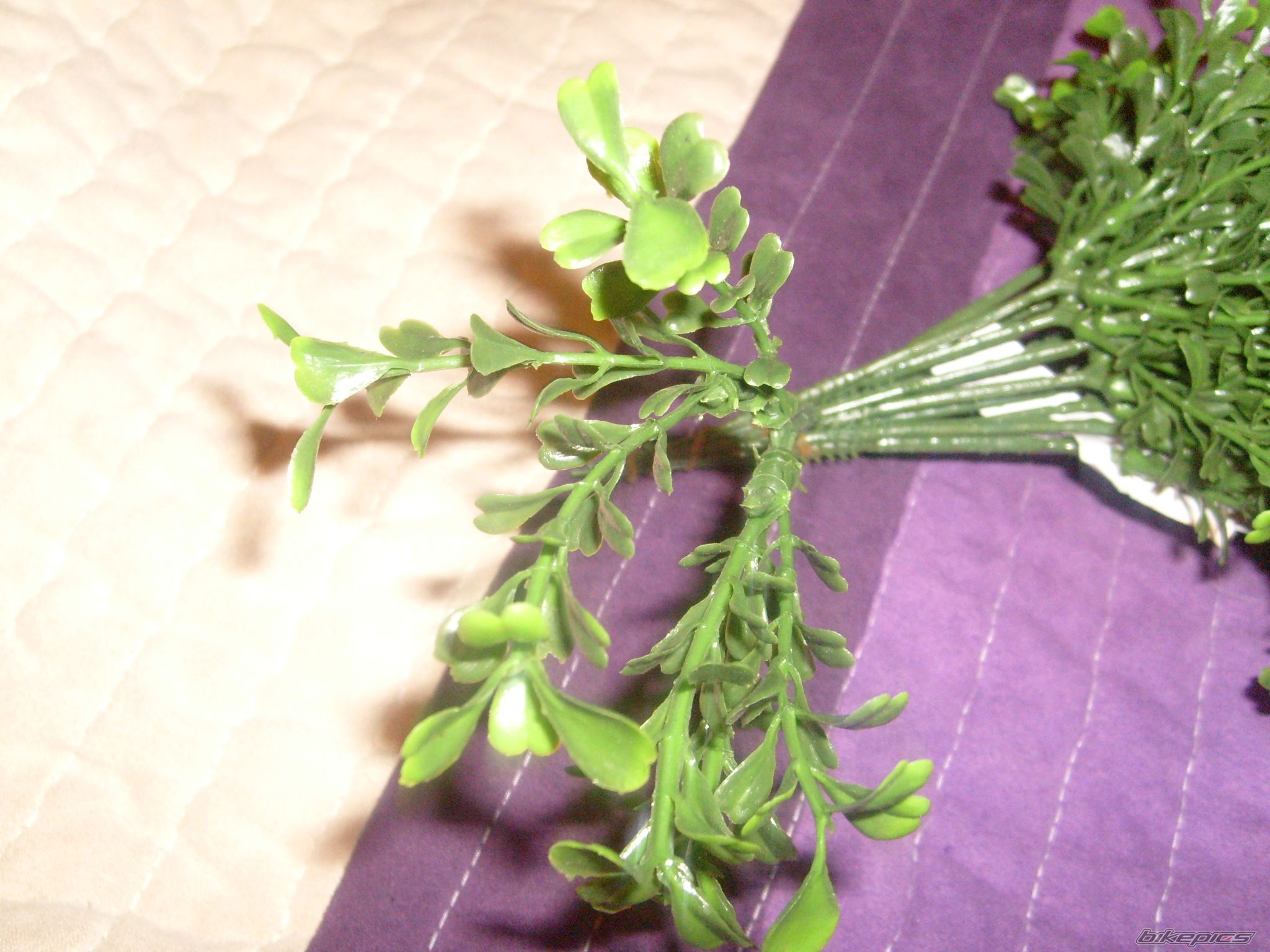 Photo 2142233