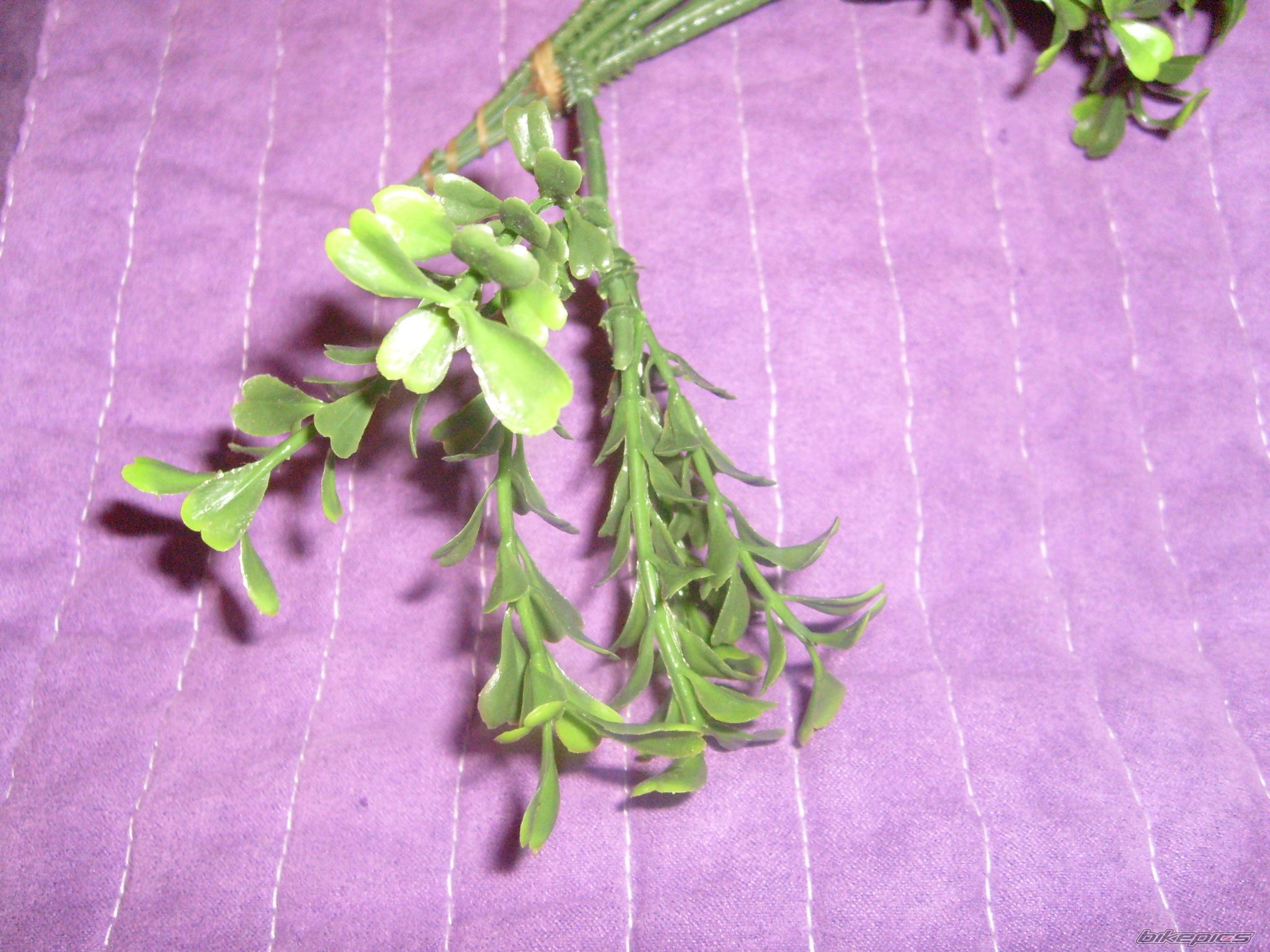 Photo 2142234