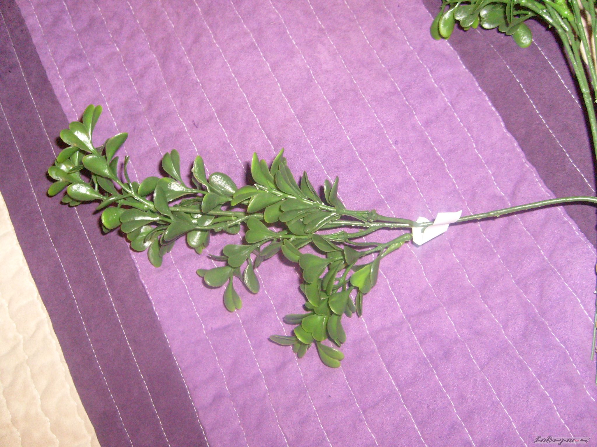 Photo 2142235