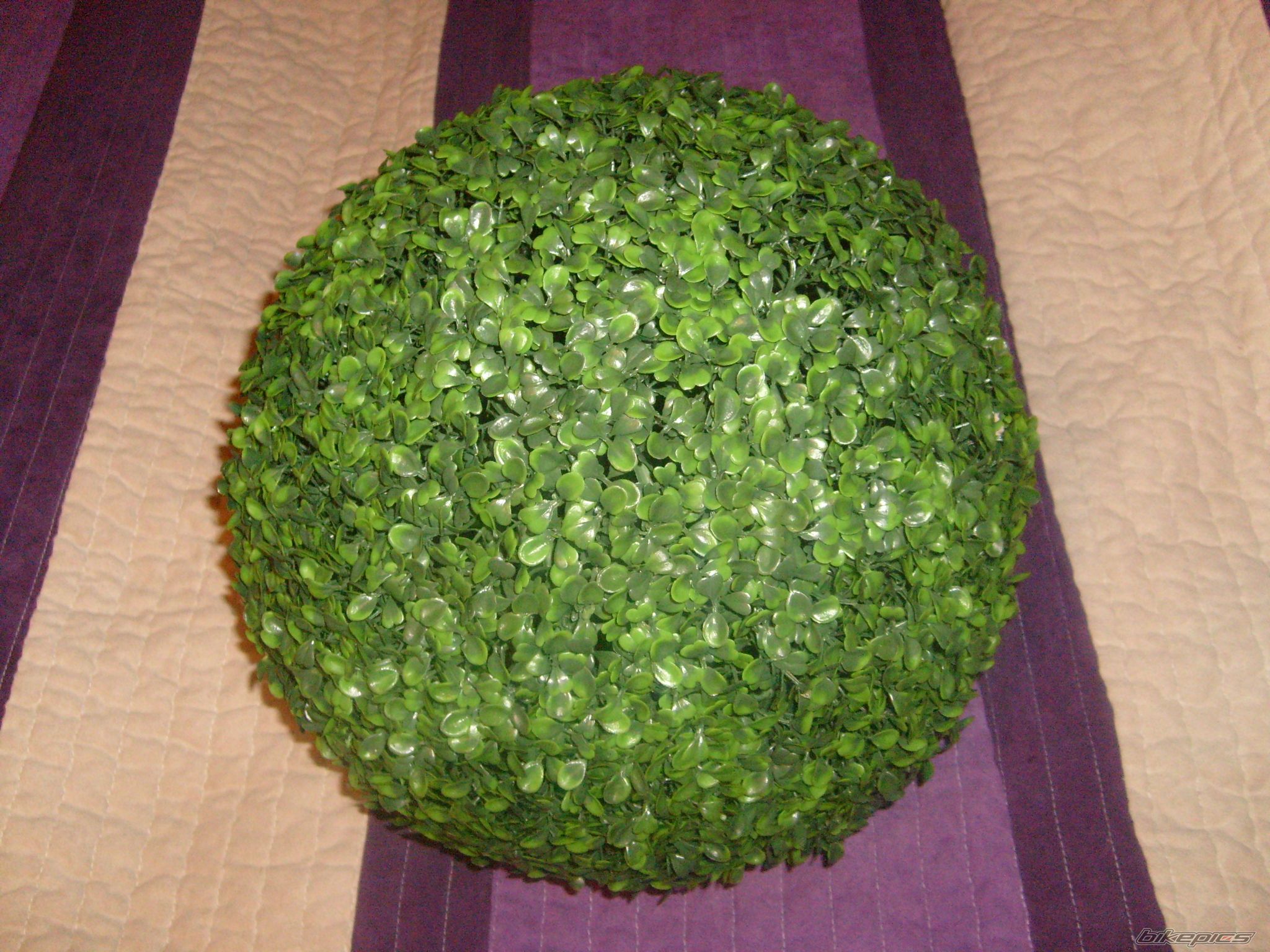 Photo 2142236