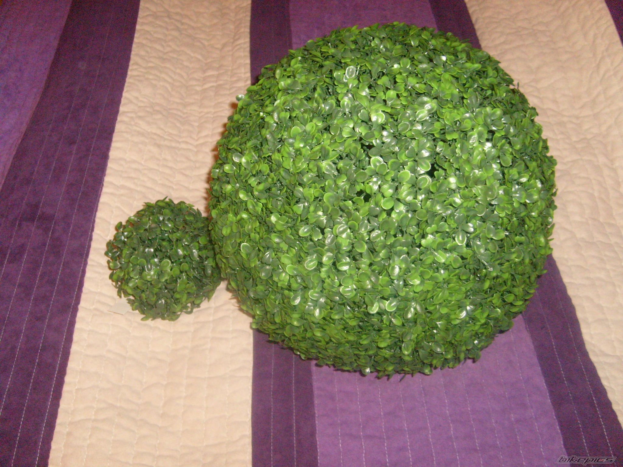 Photo 2142237