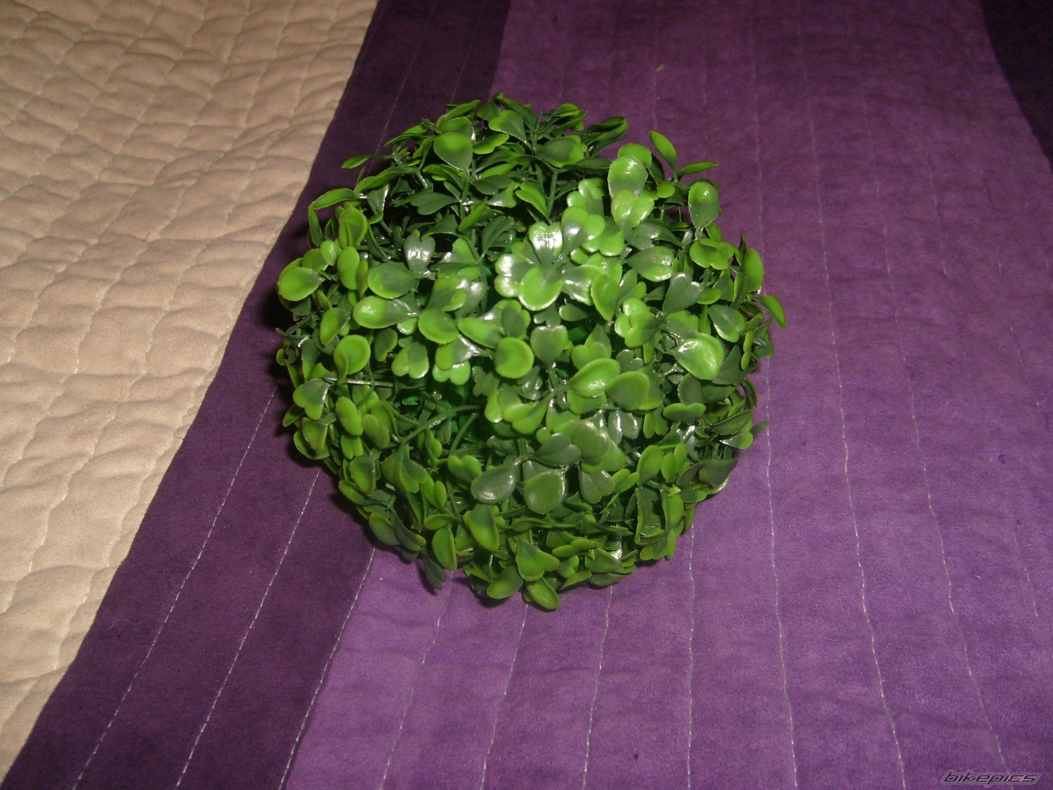 Photo 2142253