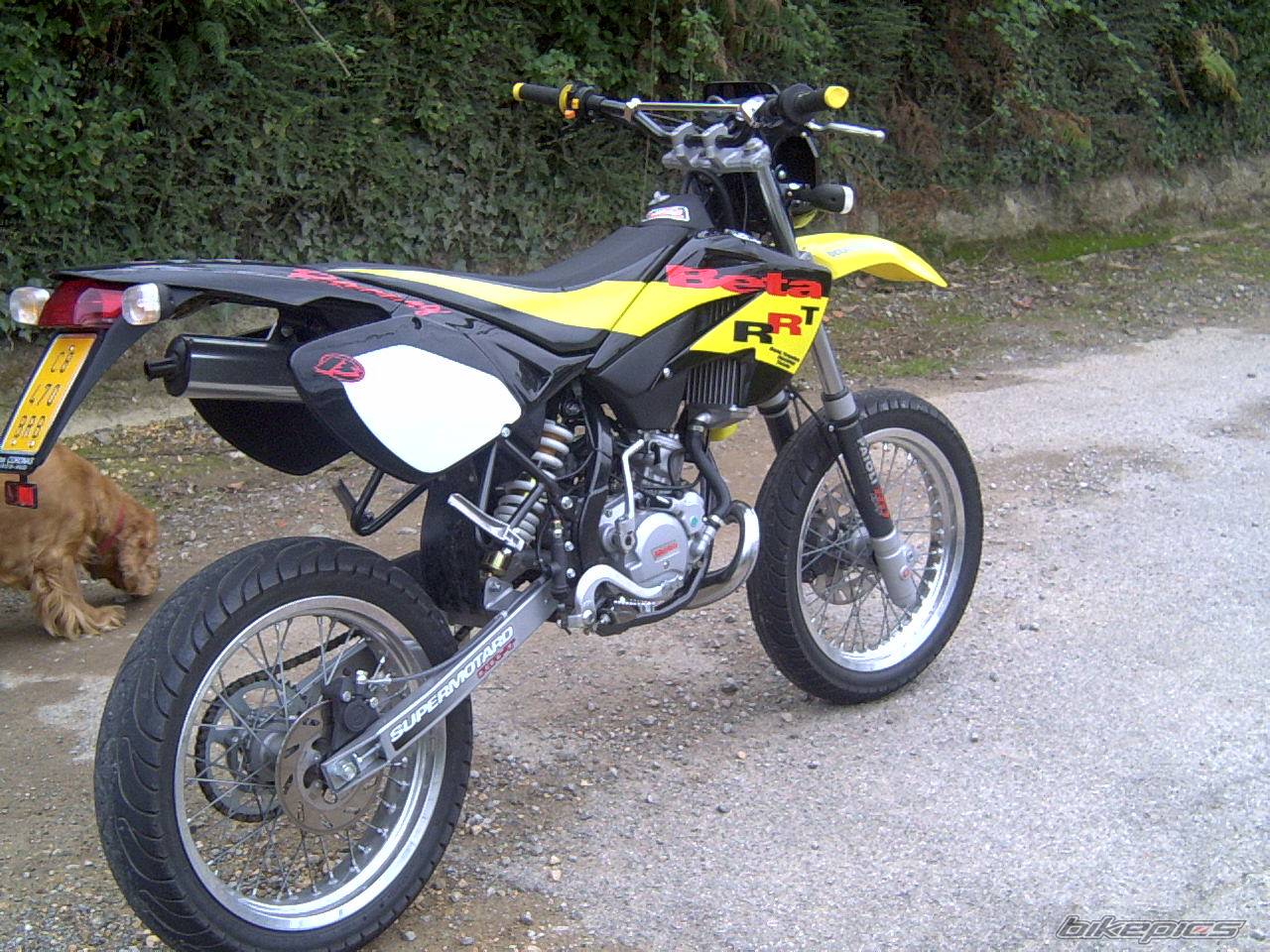 Photo 214228