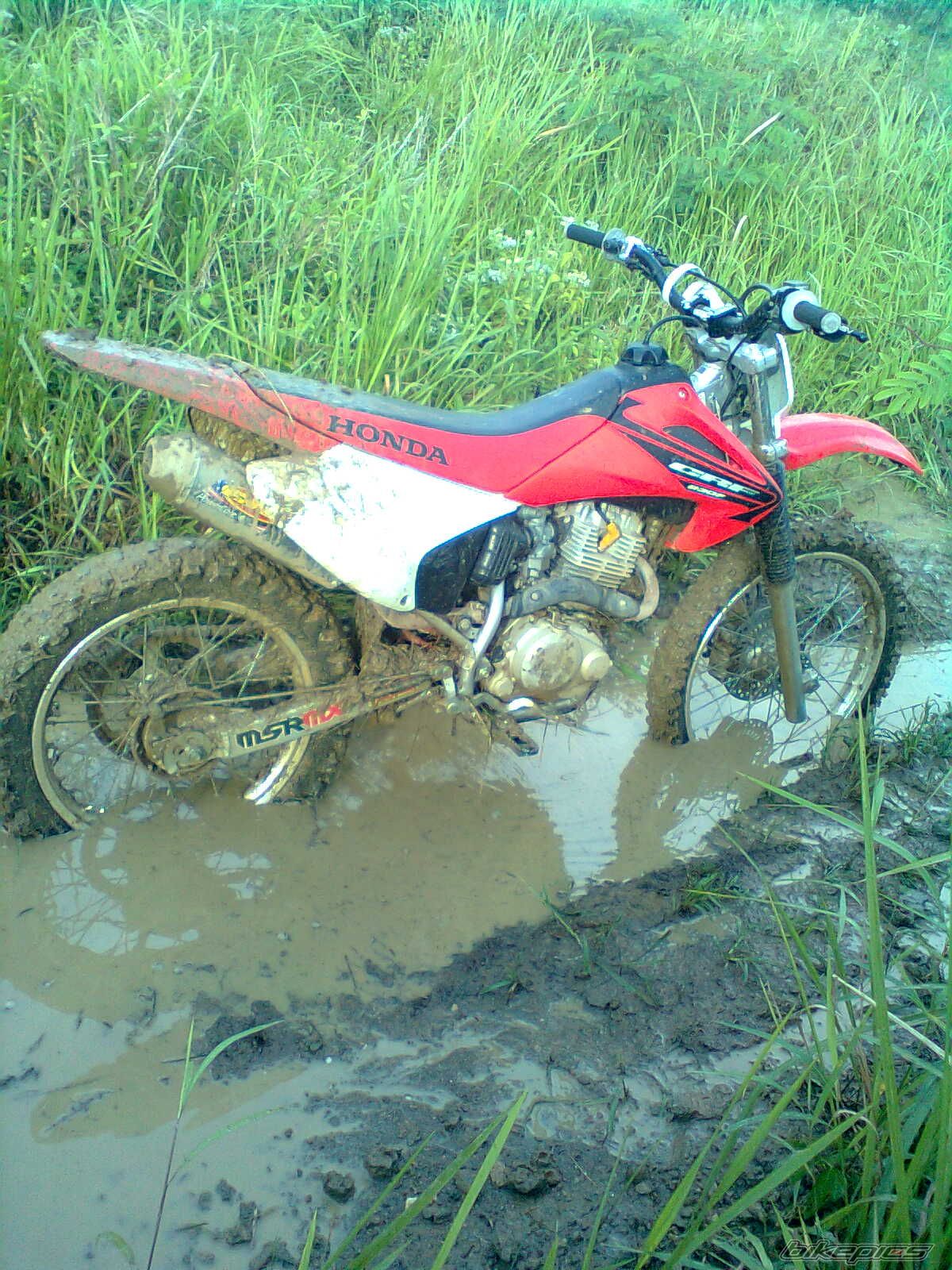 Photo 2142541