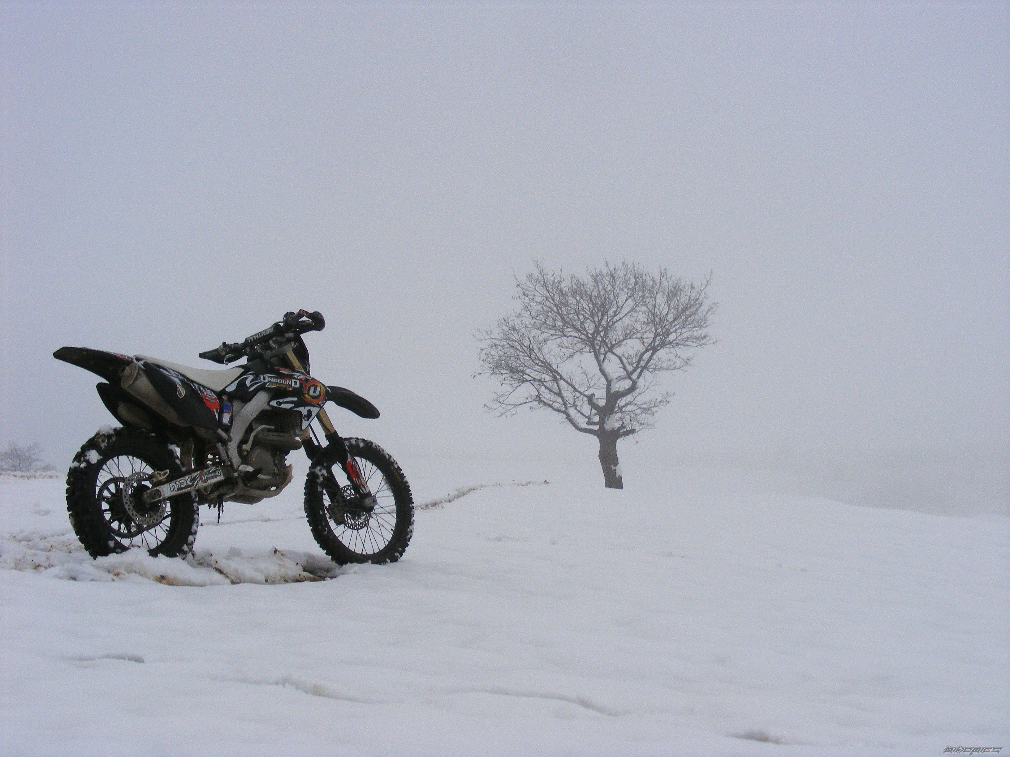 Photo 2142603