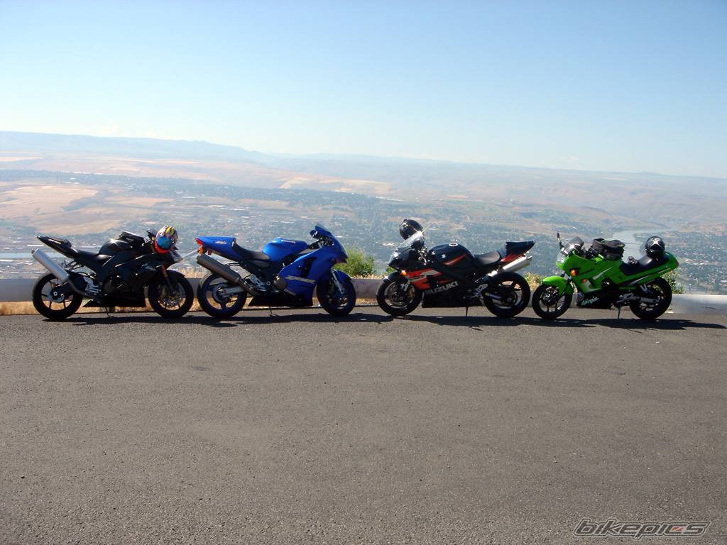 Photo 214281