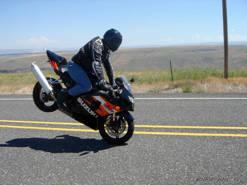 Photo 214282