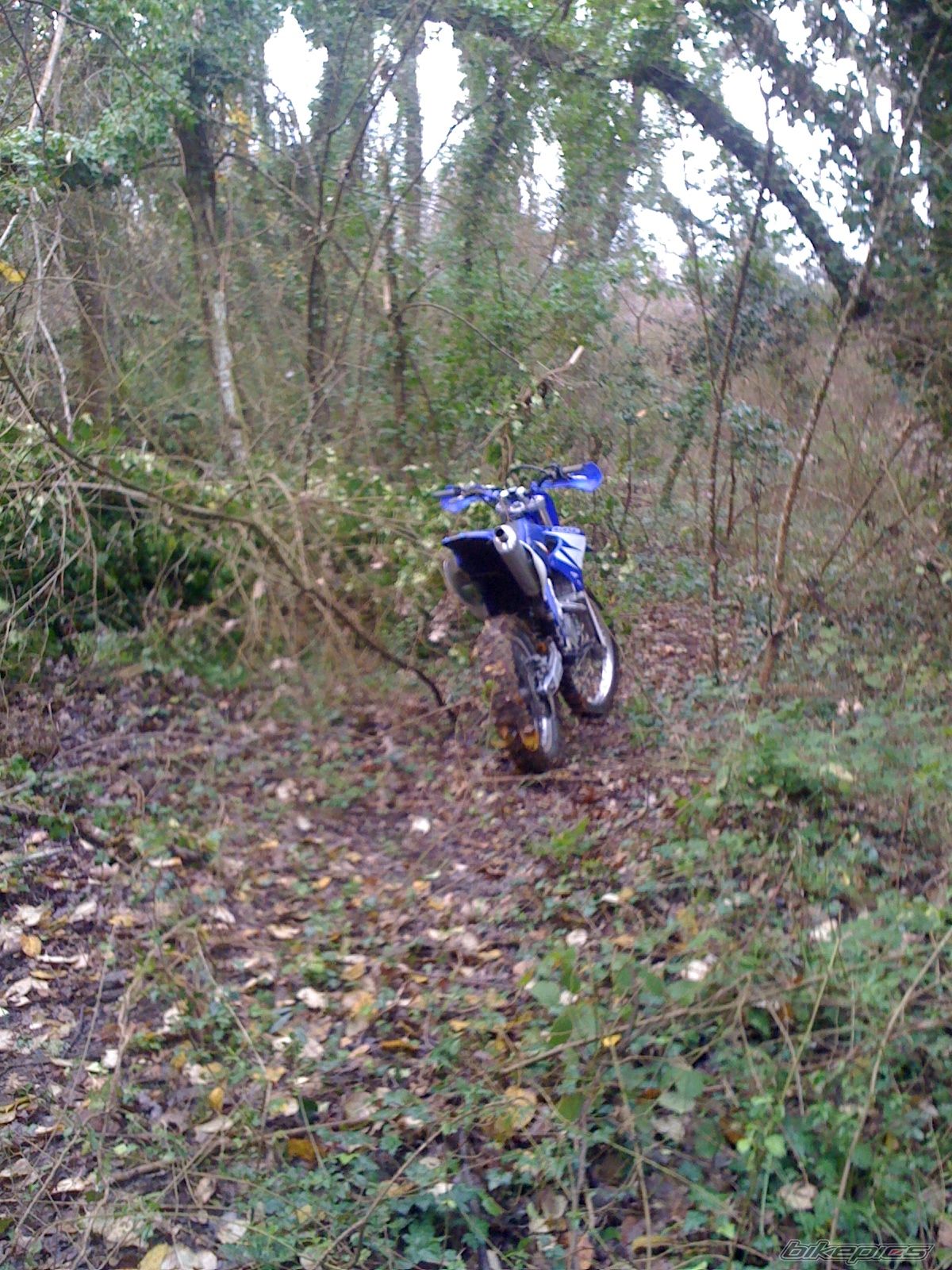 Photo 2142885