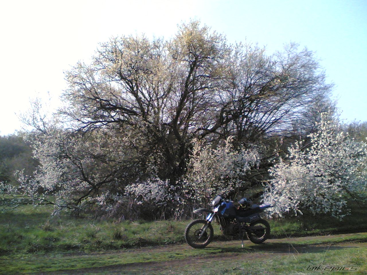 Bike Photo 2143158