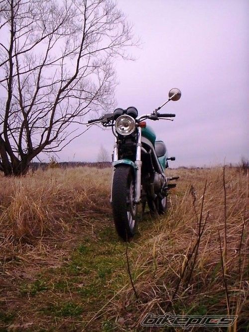 Photo 2143215