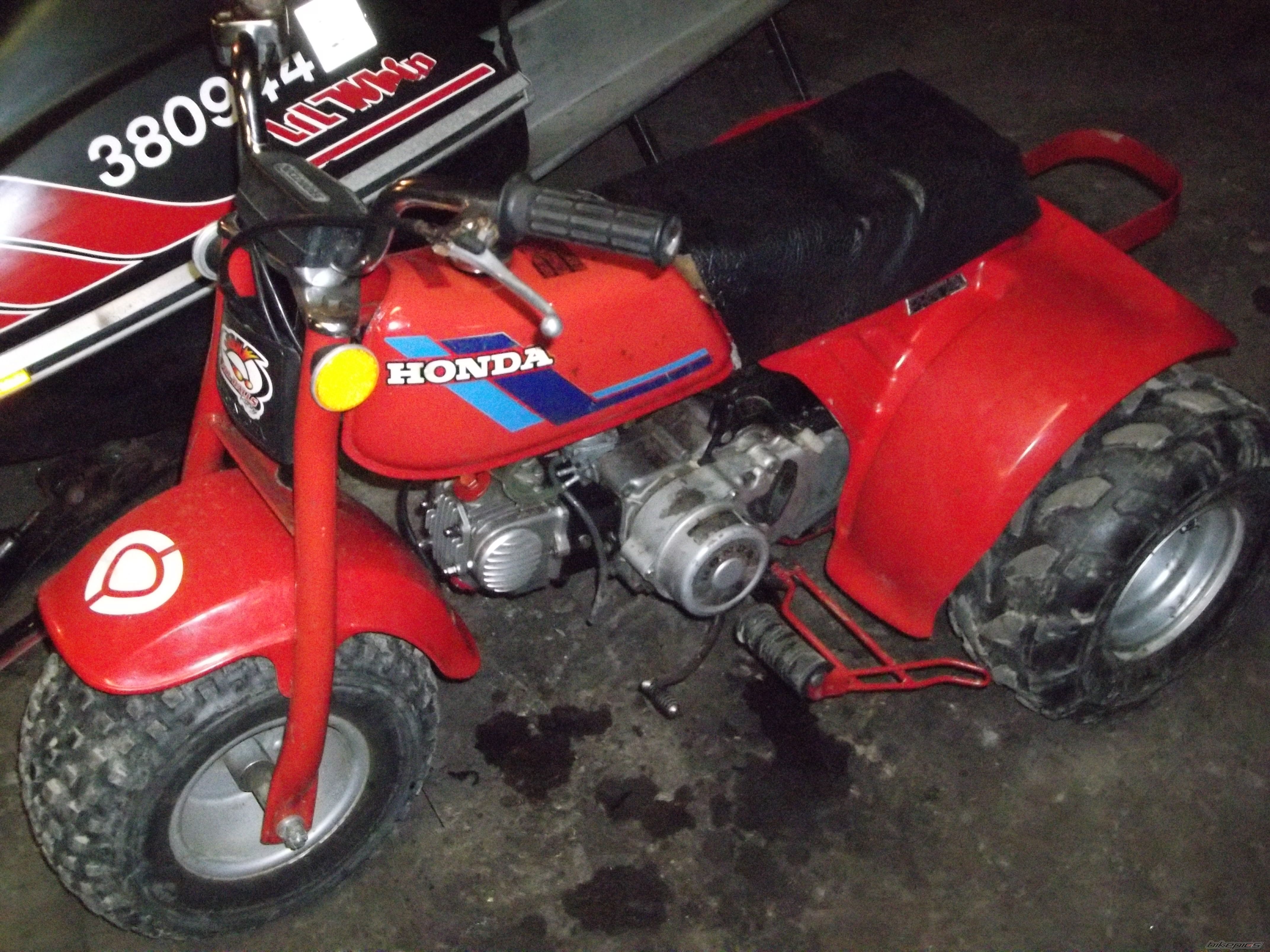 Photo 2143456