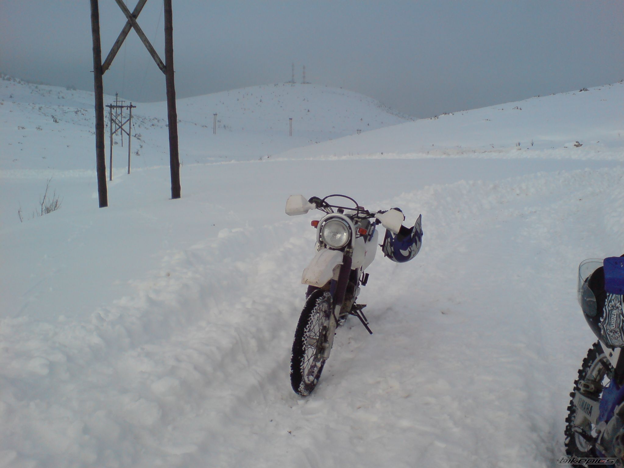 Photo 2143638
