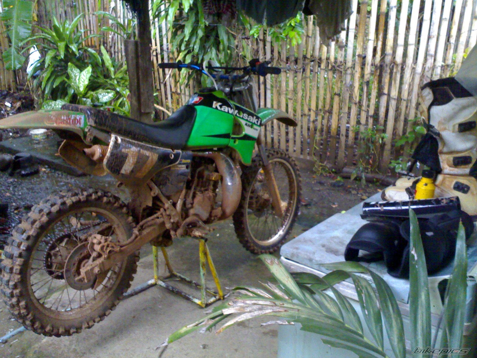 Photo 2143882