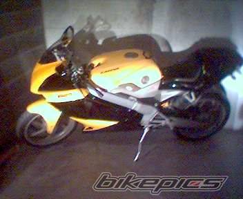 Photo 214409