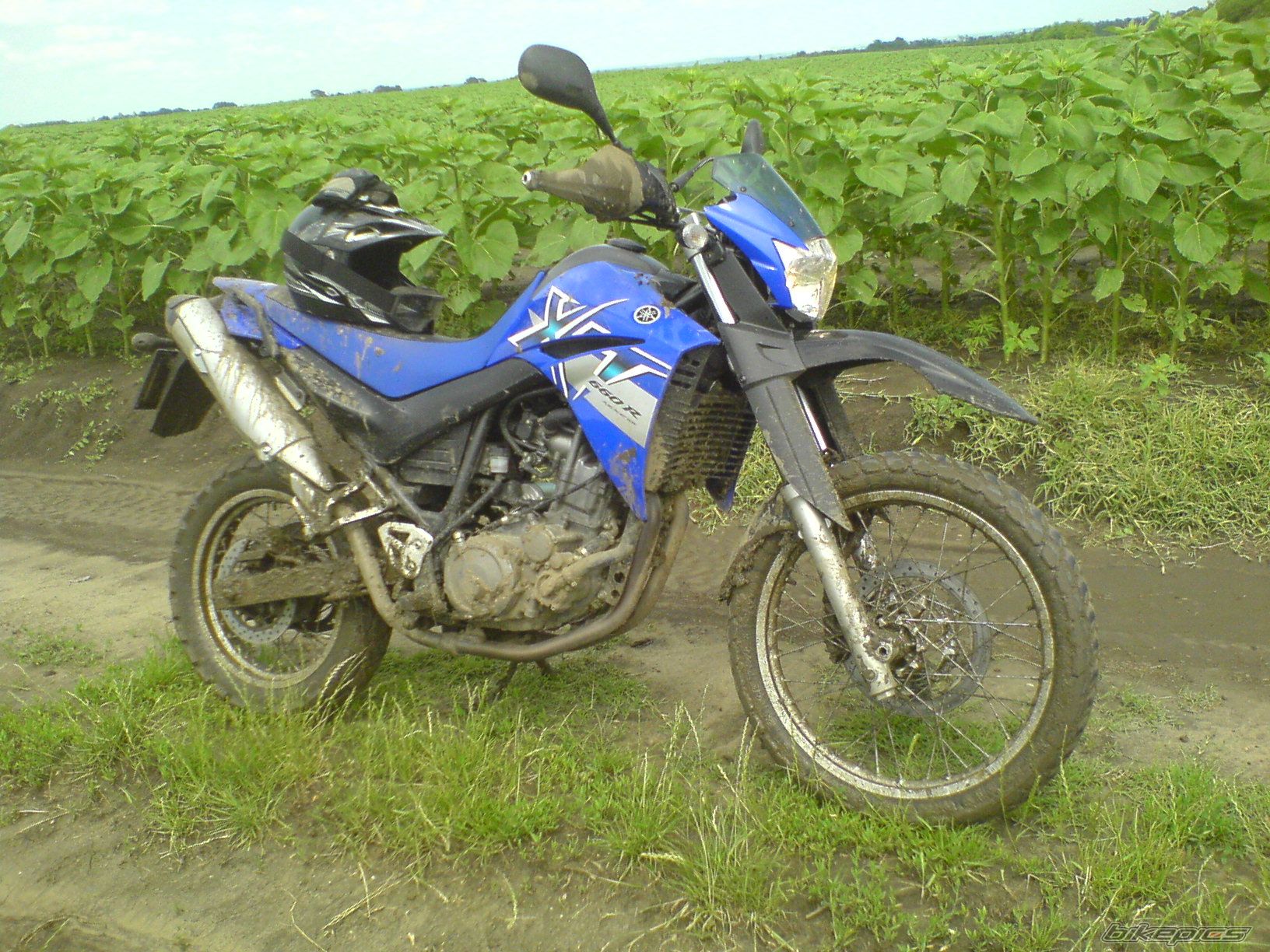 Photo 2144953