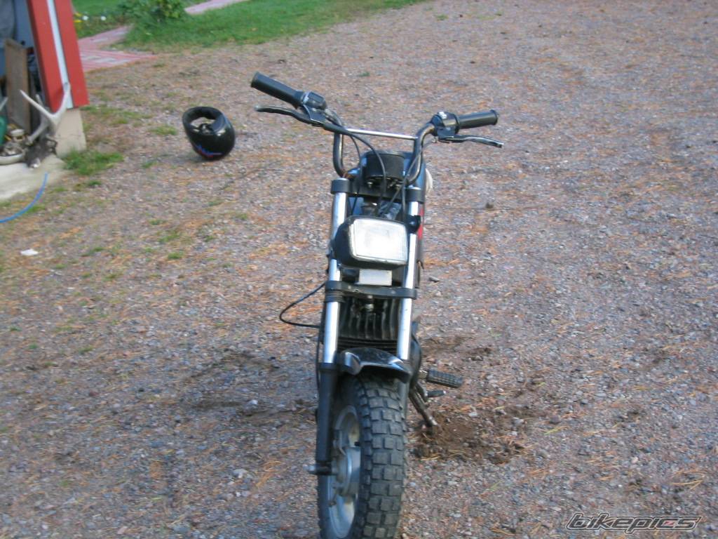 Photo 214497
