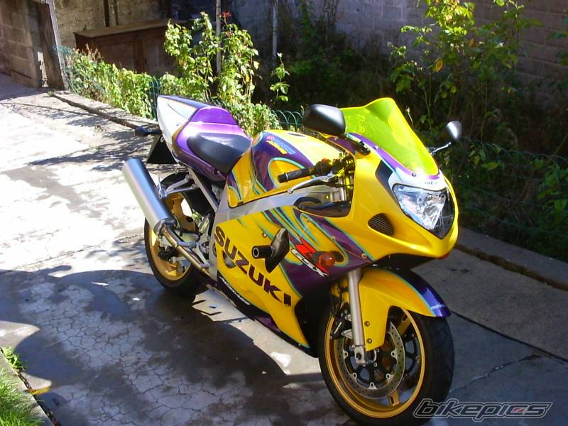 Photo 214523