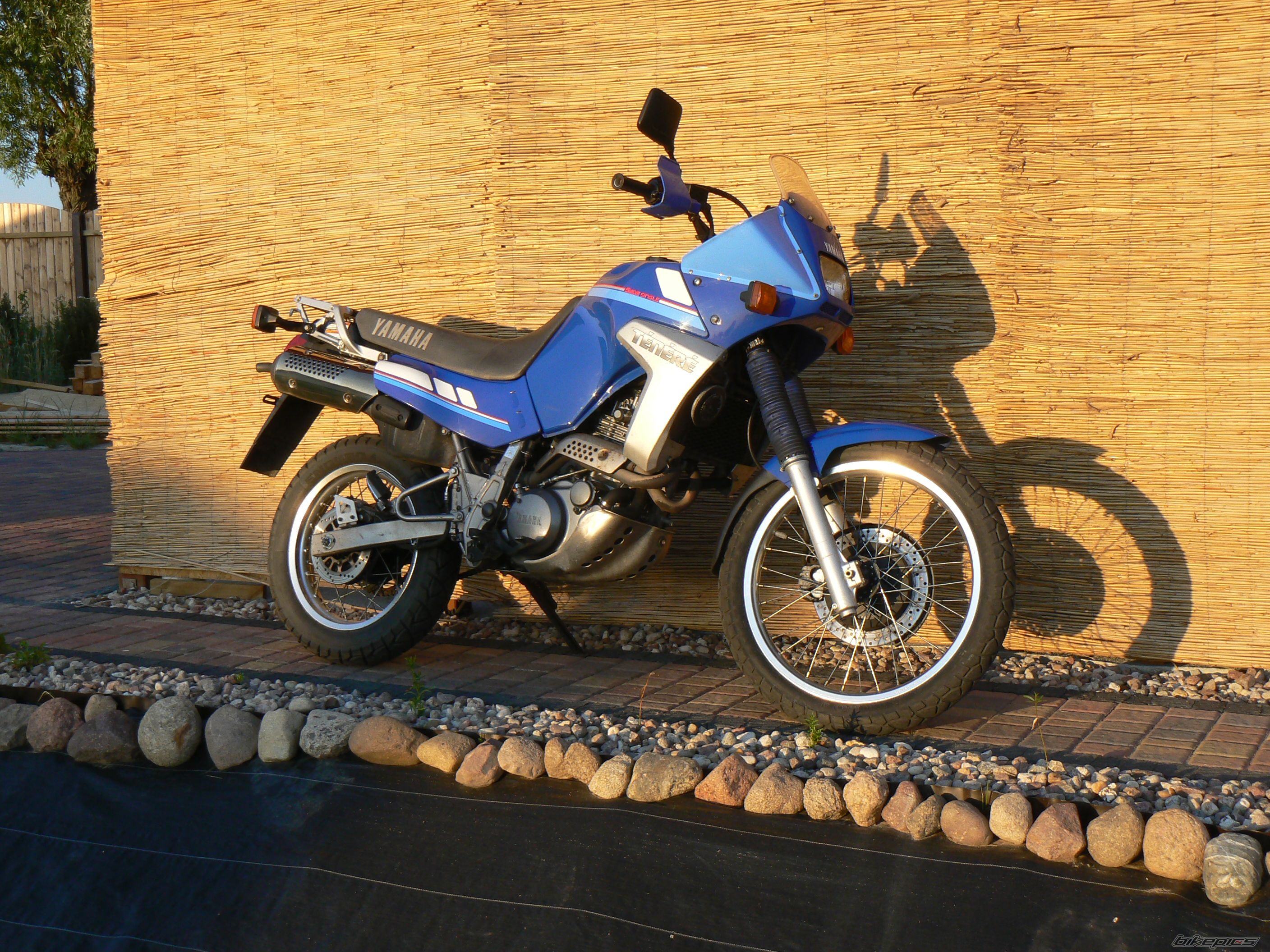 Bike Photo 2145354